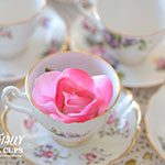 Teacup Rentals
